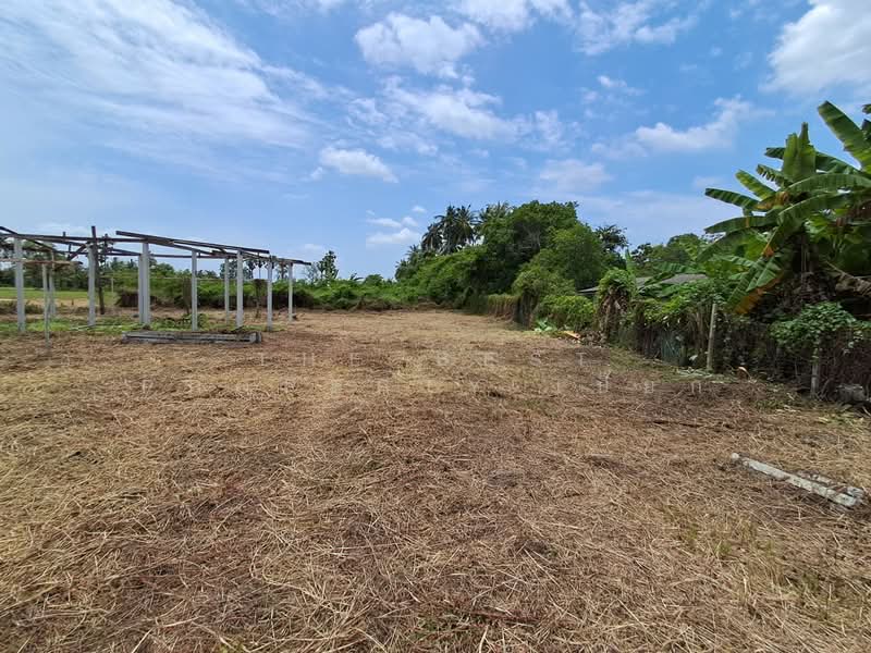 ที่ดินโพธาราม ราชบุรี, Ratchaburi, Khlong Takhot, Photharam, Ratchaburi, , 4,828 sqm, Land For Sale, by The Best Property เปี๊ยก, 500410280 - DDproperty.com