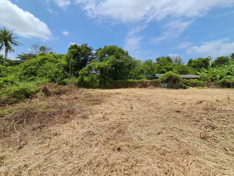 ที่ดินโพธาราม ราชบุรี, Ratchaburi, Khlong Takhot, Photharam, Ratchaburi, , 4,828 sqm, Land For Sale, by The Best Property เปี๊ยก, 500410280 - DDproperty.com