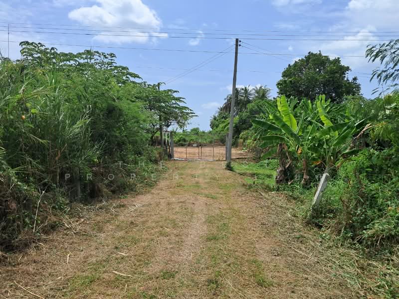 ที่ดินโพธาราม ราชบุรี, Ratchaburi, Khlong Takhot, Photharam, Ratchaburi, , 4,828 sqm, Land For Sale, by The Best Property เปี๊ยก, 500410280 - DDproperty.com