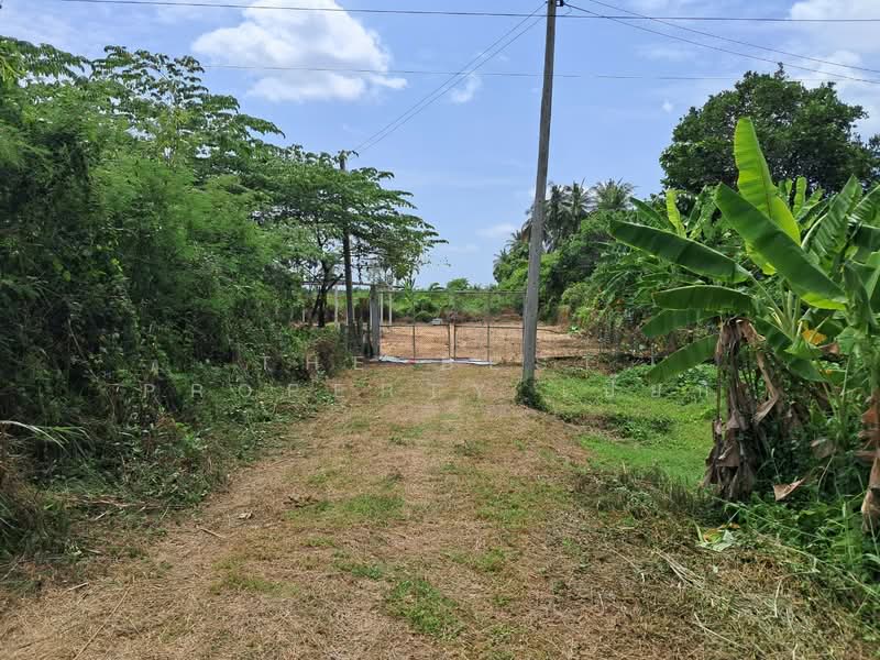 ที่ดินโพธาราม ราชบุรี, Ratchaburi, Khlong Takhot, Photharam, Ratchaburi, , 4,828 sqm, Land For Sale, by The Best Property เปี๊ยก, 500410280 - DDproperty.com