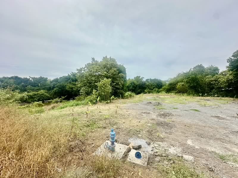 ที่ดินวัดช่างเหล็ก, Phra Nakhon Si Ayutthaya, Chang Lek, Bang-Sai, Phra Nakhon Si Ayutthaya, , 2,152 sqm, Land For Sale, by พรชีวิน สุขสำรวล, 500410287 - DDproperty.com