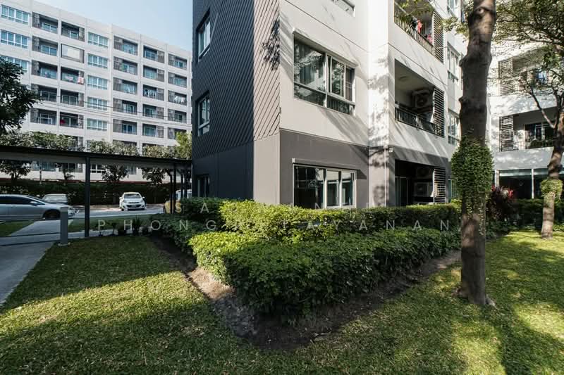Elio Del Ray, Bangkok, 95 Sukhumvit 64 Road, Bang Chak, Phra Khanong, Bangkok, 2 Bedrooms, 45 sqm, Condo For Rent, by Saowanee Phongpitayanan, 500410313 - DDproperty.com