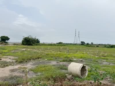 ขาย - ที่ดินบางปะกง ฉะเชิงเทรา, ฉะเชิงเทรา