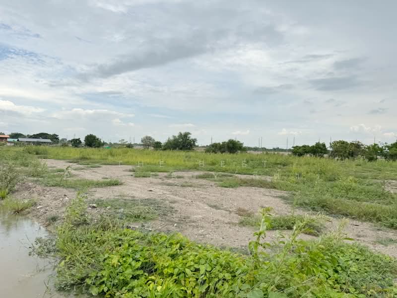 ที่ดินบางปะกง ฉะเชิงเทรา, ฉะเชิงเทรา, พิมพา, บางปะกง, ฉะเชิงเทรา, 4,800 ตร.ม., ที่ดิน ขาย, โดย The Best Property กีต้าร์, 500410389 - DDproperty.com