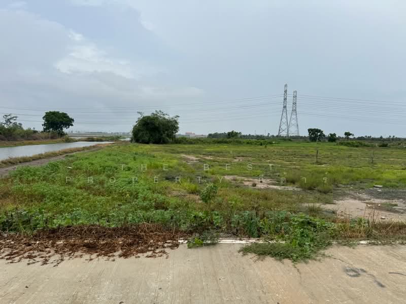 ที่ดินบางปะกง ฉะเชิงเทรา, Chachoengsao, Phimpha, Bang Pakong, Chachoengsao, , 4,800 sqm, Land For Sale, by The Best Property กีต้าร์, 500410389 - DDproperty.com