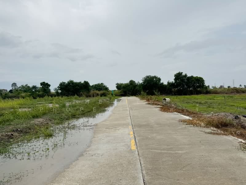 ที่ดินบางปะกง ฉะเชิงเทรา, ฉะเชิงเทรา, พิมพา, บางปะกง, ฉะเชิงเทรา, 4,800 ตร.ม., ที่ดิน ขาย, โดย The Best Property กีต้าร์, 500410389 - DDproperty.com