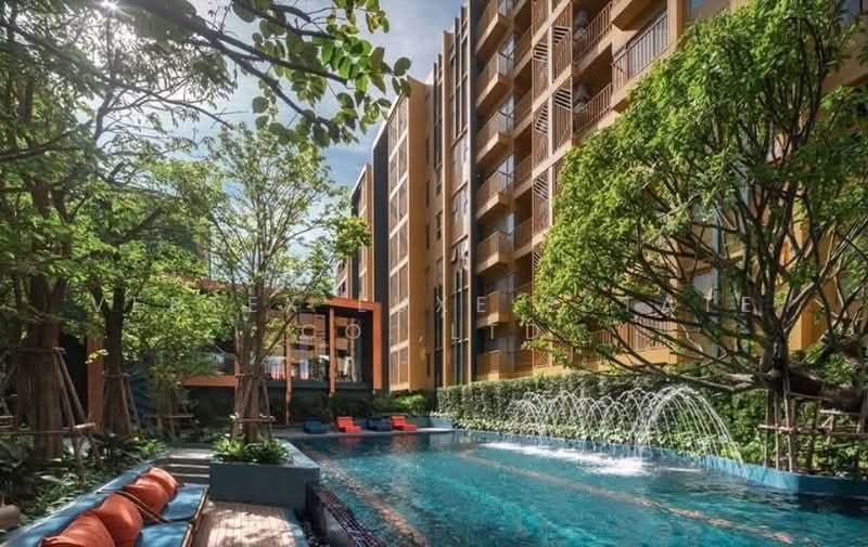 The Base Sukhumvit 50 : เดอะ เบส สุขุมวิท 50, กรุงเทพ, ซอยเริ่มเจริญ แยก 1 ถนนสุขุมวิท 50, พระโขนง, คลองเตย, กรุงเทพ, 31 ตร.ม., คอนโด ให้เช่า, โดย Vertex Luxe Estate Co.,LTD, 500410410 - DDproperty.com