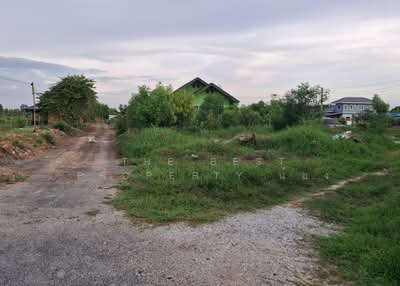 ขาย - ที่ดินบางปะกง ฉะเชิงเทรา, ฉะเชิงเทรา