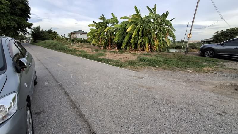 ที่ดินบางปะกง ฉะเชิงเทรา, Chachoengsao, Bang Samak, Bang Pakong, Chachoengsao, , 408 sqm, Land For Sale, by The Best Property น้อง, 500410415 - DDproperty.com
