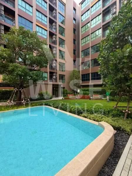 Dcondo Calm Ramkhamhaeng 40, Bangkok, Hua Mak, Bang Kapi, Bangkok, 1 Bedroom, 30 sqm, Condo For Rent, by Pimprapai P., 500410596 - DDproperty.com