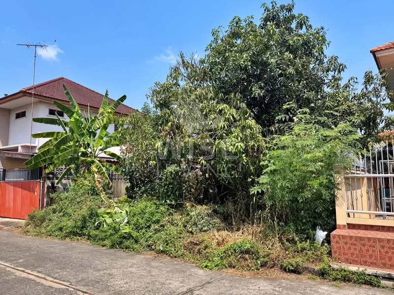 Baan Prueksa 2 (Khlong 8), Pathum Thani, Rangsit - Nakhon Nayok Road, Lam Phak Kut, Thanyaburi, Pathum Thani, , 240 sqm, Land For Sale, by Pimprapai P., 500410606 - DDproperty.com