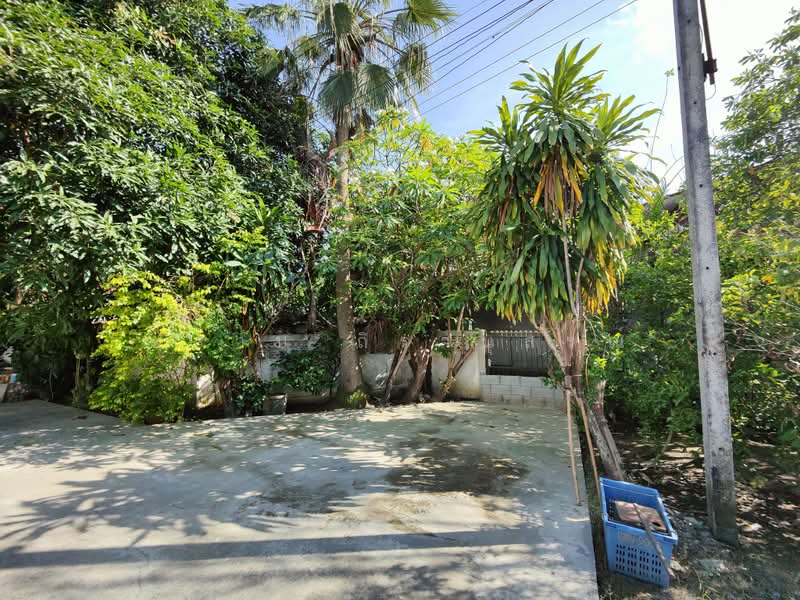 สามพราน, นครปฐม, ยายชา, สามพราน, นครปฐม, 4,800 ตร.ม., ที่ดิน ขาย, โดย ปราบ ถิรานุสรณ์, 500410634 - DDproperty.com