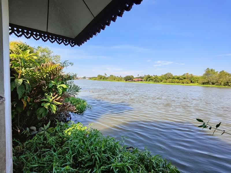 สามพราน, นครปฐม, ยายชา, สามพราน, นครปฐม, 4,800 ตร.ม., ที่ดิน ขาย, โดย ปราบ ถิรานุสรณ์, 500410634 - DDproperty.com