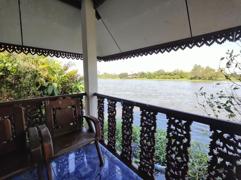 สามพราน, นครปฐม, ยายชา, สามพราน, นครปฐม, 4,800 ตร.ม., ที่ดิน ขาย, โดย ปราบ ถิรานุสรณ์, 500410634 - DDproperty.com