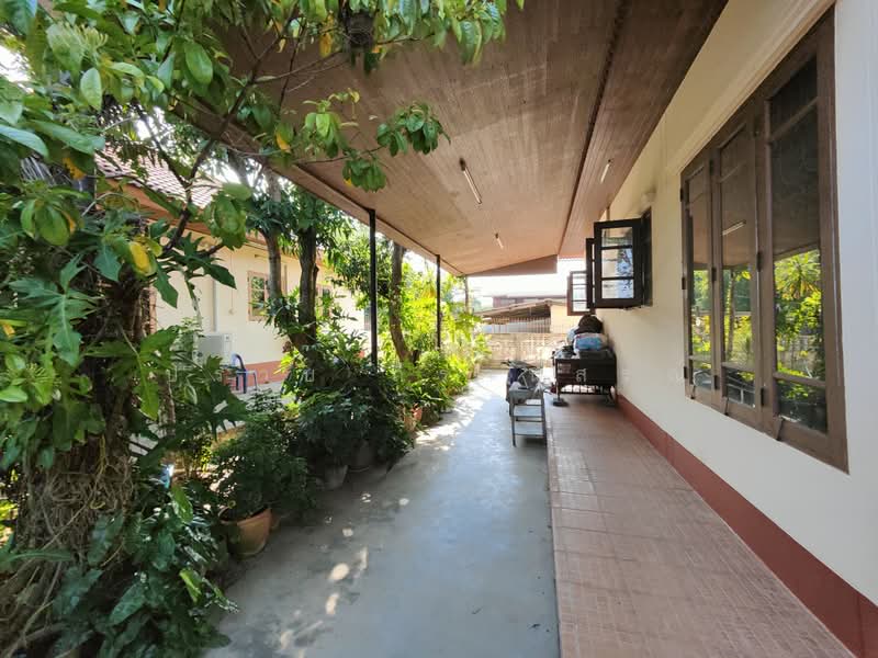 สามพราน, นครปฐม, ยายชา, สามพราน, นครปฐม, 4,800 ตร.ม., ที่ดิน ขาย, โดย ปราบ ถิรานุสรณ์, 500410634 - DDproperty.com