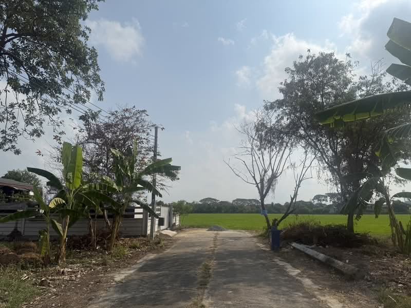 ขายที่ดินถมแล้ว 102 ตร.ว, กรุงเทพ, ศาลาธรรมสพน์, ทวีวัฒนา, กรุงเทพ, 408 ตร.ม., ที่ดิน ขาย, โดย สุดารัตน์ พรมแพง, 500410672 - DDproperty.com