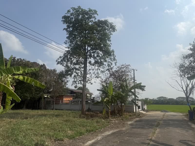ขายที่ดินถมแล้ว 102 ตร.ว, กรุงเทพ, ศาลาธรรมสพน์, ทวีวัฒนา, กรุงเทพ, 408 ตร.ม., ที่ดิน ขาย, โดย สุดารัตน์ พรมแพง, 500410672 - DDproperty.com