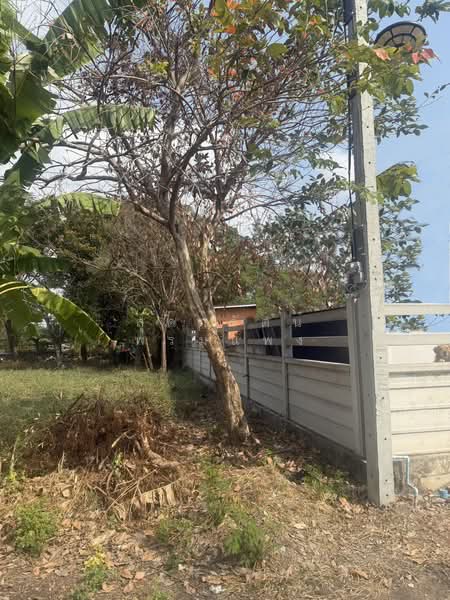 ขายที่ดินถมแล้ว 102 ตร.ว, Bangkok, Sala Thammasop, Thawi Watthana, Bangkok, , 408 sqm, Land For Sale, by สุดารัตน์ พรมแพง, 500410672 - DDproperty.com