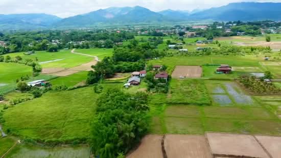 ที่ดิน ปัว น่าน พื้นที่ 188.2 ตร.ว.( 480,000), Nan, 101, Pua, Nan, , 753 sqm, Land For Sale, by Wasan Wasati, 500410831 - DDproperty.com