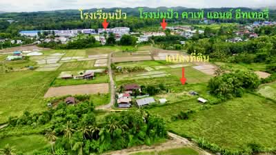 ขาย - ที่ดิน ปัว น่าน พื้นที่ 188.2 ตร.ว.( 480,000), น่าน