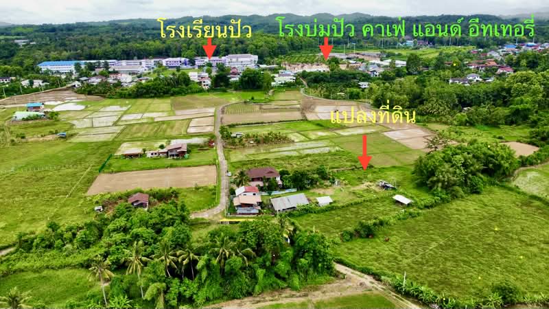 ที่ดิน ปัว น่าน พื้นที่ 188.2 ตร.ว.( 480,000), Nan, 101, Pua, Nan, , 753 sqm, Land For Sale, by Wasan Wasati, 500410831 - DDproperty.com