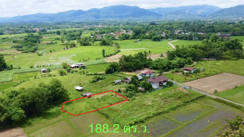 ที่ดิน ปัว น่าน พื้นที่ 188.2 ตร.ว.( 480,000), Nan, 101, Pua, Nan, , 753 sqm, Land For Sale, by Wasan Wasati, 500410831 - DDproperty.com