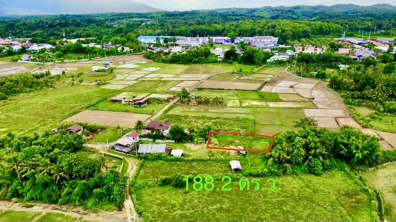ที่ดิน ปัว น่าน พื้นที่ 188.2 ตร.ว.( 480,000), Nan, 101, Pua, Nan, , 753 sqm, Land For Sale, by Wasan Wasati, 500410831 - DDproperty.com