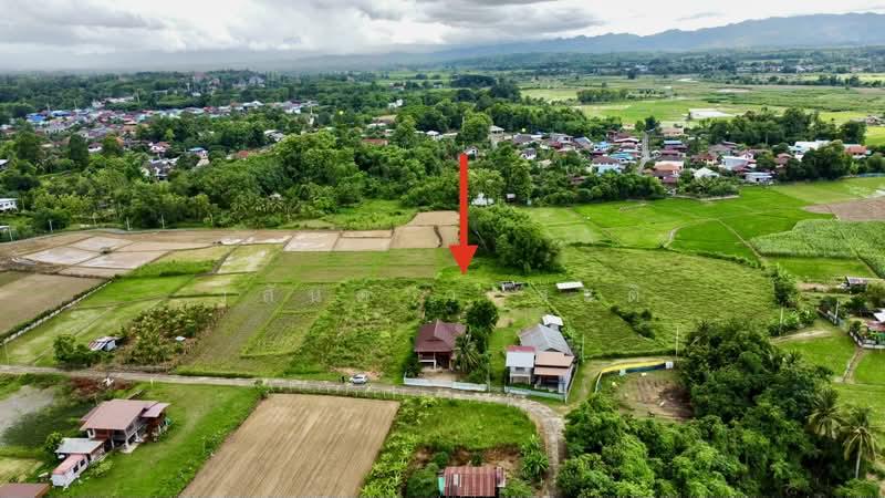 ที่ดิน ปัว น่าน พื้นที่ 188.2 ตร.ว.( 480,000), น่าน, 101, ปัว, น่าน, 753 ตร.ม., ที่ดิน ขาย, โดย วสันต์ วะสะติ, 500410831 - DDproperty.com