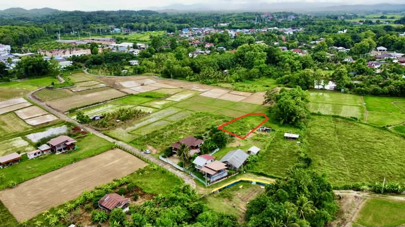ที่ดิน ปัว น่าน พื้นที่ 188.2 ตร.ว.( 480,000), Nan, 101, Pua, Nan, , 753 sqm, Land For Sale, by Wasan Wasati, 500410831 - DDproperty.com