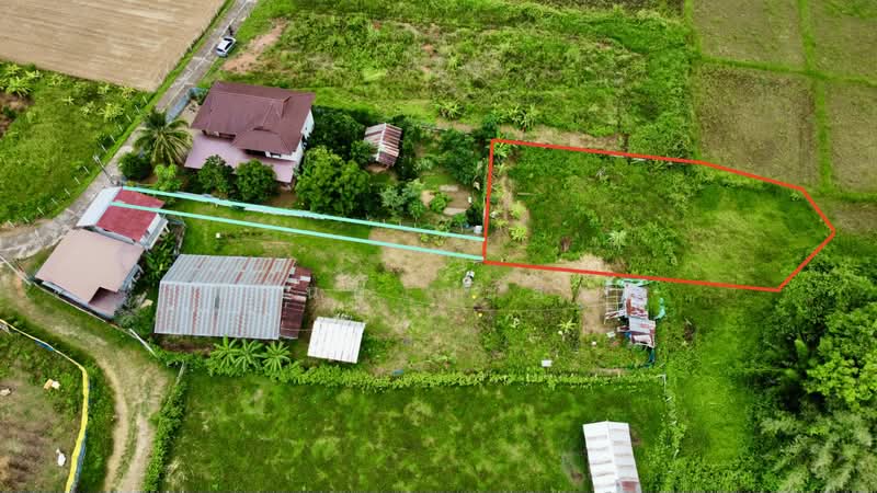 ที่ดิน ปัว น่าน พื้นที่ 188.2 ตร.ว.( 480,000), น่าน, 101, ปัว, น่าน, 753 ตร.ม., ที่ดิน ขาย, โดย วสันต์ วะสะติ, 500410831 - DDproperty.com