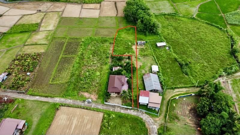 ที่ดิน ปัว น่าน พื้นที่ 188.2 ตร.ว.( 480,000), น่าน, 101, ปัว, น่าน, 753 ตร.ม., ที่ดิน ขาย, โดย วสันต์ วะสะติ, 500410831 - DDproperty.com