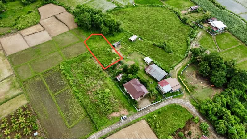 ที่ดิน ปัว น่าน พื้นที่ 188.2 ตร.ว.( 480,000), Nan, 101, Pua, Nan, , 753 sqm, Land For Sale, by Wasan Wasati, 500410831 - DDproperty.com