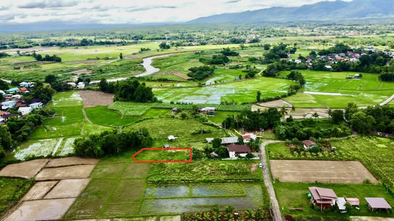 ที่ดิน ปัว น่าน พื้นที่ 188.2 ตร.ว.( 480,000), Nan, 101, Pua, Nan, , 753 sqm, Land For Sale, by Wasan Wasati, 500410831 - DDproperty.com