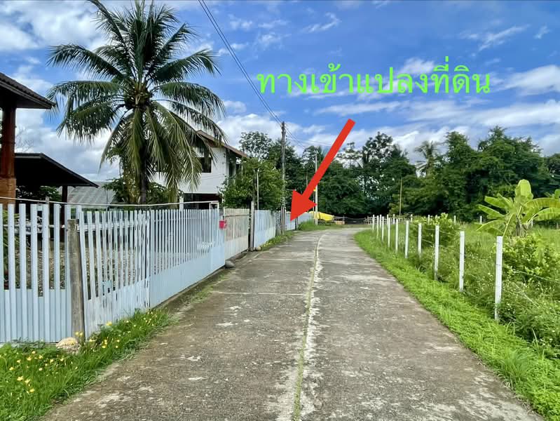 ที่ดิน ปัว น่าน พื้นที่ 188.2 ตร.ว.( 480,000), Nan, 101, Pua, Nan, , 753 sqm, Land For Sale, by Wasan Wasati, 500410831 - DDproperty.com