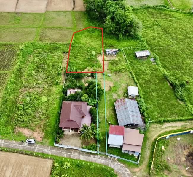 ที่ดิน ปัว น่าน พื้นที่ 188.2 ตร.ว.( 480,000), น่าน, 101, ปัว, น่าน, 753 ตร.ม., ที่ดิน ขาย, โดย วสันต์ วะสะติ, 500410831 - DDproperty.com