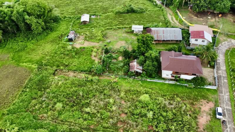 ที่ดิน ปัว น่าน พื้นที่ 188.2 ตร.ว.( 480,000), น่าน, 101, ปัว, น่าน, 753 ตร.ม., ที่ดิน ขาย, โดย วสันต์ วะสะติ, 500410831 - DDproperty.com