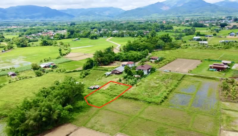 ที่ดิน ปัว น่าน พื้นที่ 188.2 ตร.ว.( 480,000), Nan, 101, Pua, Nan, , 753 sqm, Land For Sale, by Wasan Wasati, 500410831 - DDproperty.com