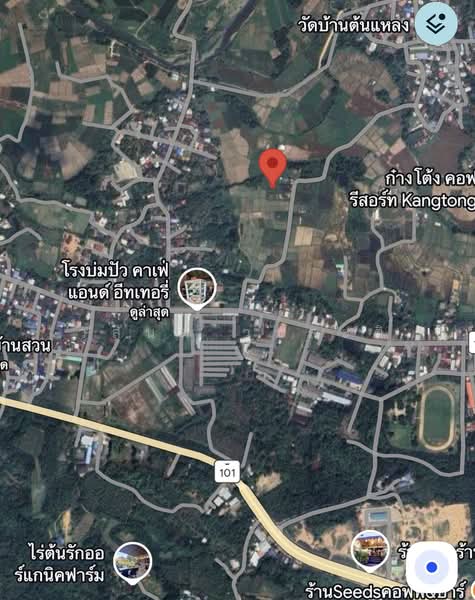 ที่ดิน ปัว น่าน พื้นที่ 188.2 ตร.ว.( 480,000), Nan, 101, Pua, Nan, , 753 sqm, Land For Sale, by Wasan Wasati, 500410831 - DDproperty.com
