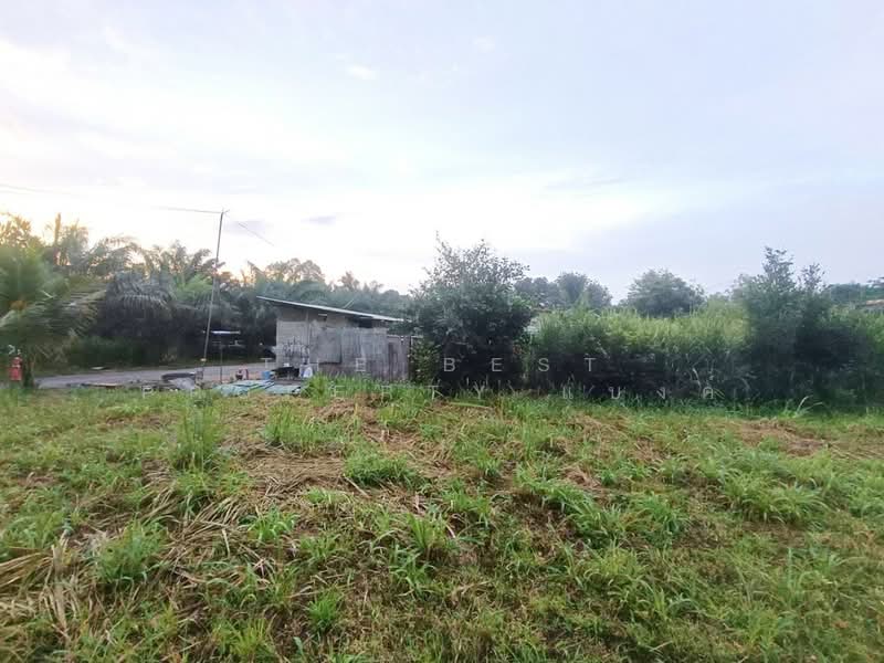 ที่ดินบ้านบึง ชลบุรี, Chon Buri (Pattaya), Nong Phai Kaeo, Ban Bung, Chon Buri (Pattaya), , 4,800 sqm, Land For Sale, by The Best Property แบงค์, 500410861 - DDproperty.com