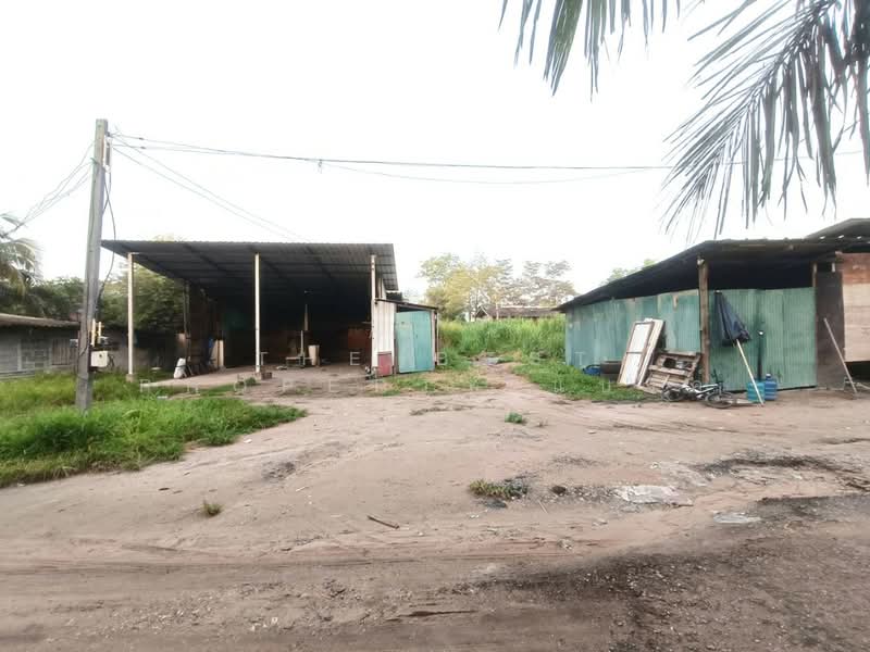 ที่ดินบ้านบึง ชลบุรี, Chon Buri (Pattaya), Nong Phai Kaeo, Ban Bung, Chon Buri (Pattaya), , 4,800 sqm, Land For Sale, by The Best Property แบงค์, 500410861 - DDproperty.com