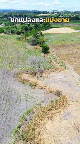 เนื้อที่ 17 ไร่ ต.วังไทร, Nakhon Ratchasima, Wang Zai, Pak Chong, Nakhon Ratchasima, , 27,200 sqm, Land For Sale, by พลิศภัสร์ โชคธนวีระกานต์, 500410867 - DDproperty.com