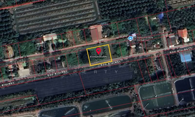 ที่ดินสามพราน นครปฐม, นครปฐม, ตลาดจินดา, สามพราน, นครปฐม, 800 ตร.ม., ที่ดิน ขาย, โดย The Best Property มล, 500410871 - DDproperty.com