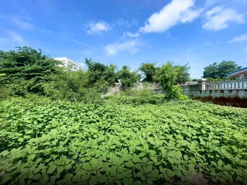 ที่ดิน 67.5 ตารางวา เฉลิมพระเกียรติ ร. 9 ซอย 8 แขวงหนองบอน, Bangkok, Nong Bon, Prawet, Bangkok, , 270 sqm, Land For Sale, by HOMEPLUS REALTY - คุณนุ้ย, 500410943 - DDproperty.com