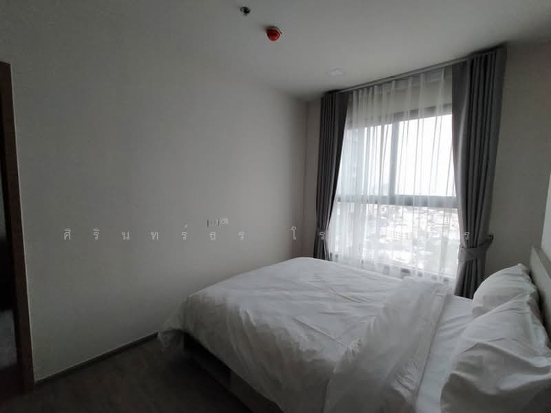 NIA by Sansiri, Bangkok, 199 117/36 Soi Samsakul, Phra Kanong Nua, Watthana, Bangkok, 1 Bedroom, 29 sqm, Condo For Rent, by ศิรินทร์ธร โรจนบวร, 500411006 - DDproperty.com