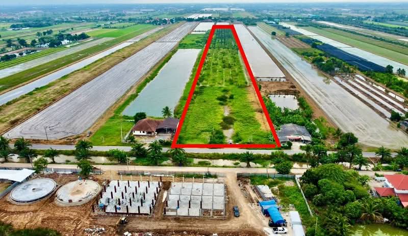 ที่ดิน คลอง7 หนองเสือ ปทุมธานี 14-1-81.8 ตร.ว, Pathum Thani, 4001, Bung Cham O, Nong Sua, Pathum Thani, , 23,152 sqm, Land For Sale, by Wasan Wasati, 500411090 - DDproperty.com