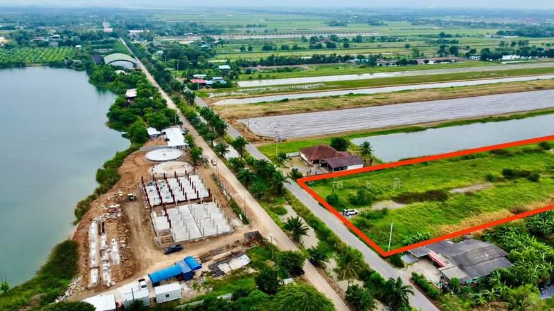 ที่ดิน คลอง7 หนองเสือ ปทุมธานี 14-1-81.8 ตร.ว, Pathum Thani, 4001, Bung Cham O, Nong Sua, Pathum Thani, , 23,152 sqm, Land For Sale, by Wasan Wasati, 500411090 - DDproperty.com