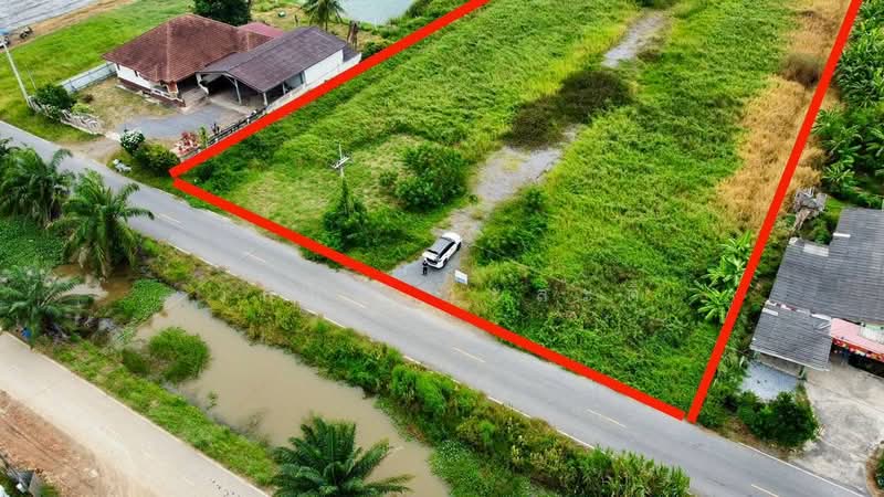 ที่ดิน คลอง7 หนองเสือ ปทุมธานี 14-1-81.8 ตร.ว, Pathum Thani, 4001, Bung Cham O, Nong Sua, Pathum Thani, , 23,152 sqm, Land For Sale, by Wasan Wasati, 500411090 - DDproperty.com