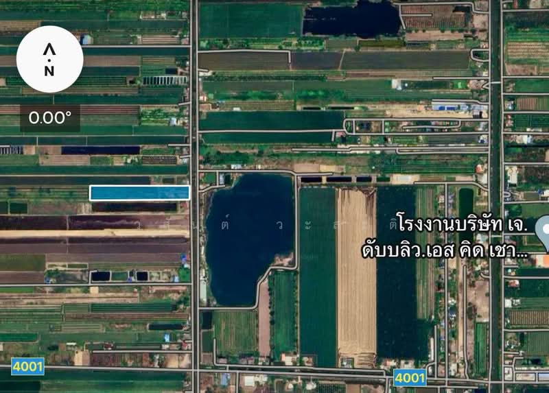 ที่ดิน คลอง7 หนองเสือ ปทุมธานี 14-1-81.8 ตร.ว, Pathum Thani, 4001, Bung Cham O, Nong Sua, Pathum Thani, , 23,152 sqm, Land For Sale, by Wasan Wasati, 500411090 - DDproperty.com
