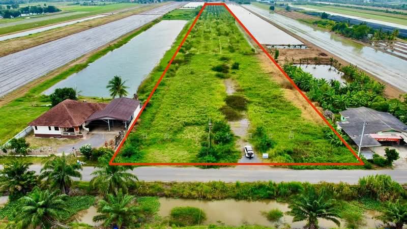ที่ดิน คลอง7 หนองเสือ ปทุมธานี 14-1-81.8 ตร.ว., ปทุมธานี, 4001, บึงชำอ้อ, หนองเสือ, ปทุมธานี, 23,152 ตร.ม., ที่ดิน ขาย, โดย วสันต์ วะสะติ, 500411090 - DDproperty.com