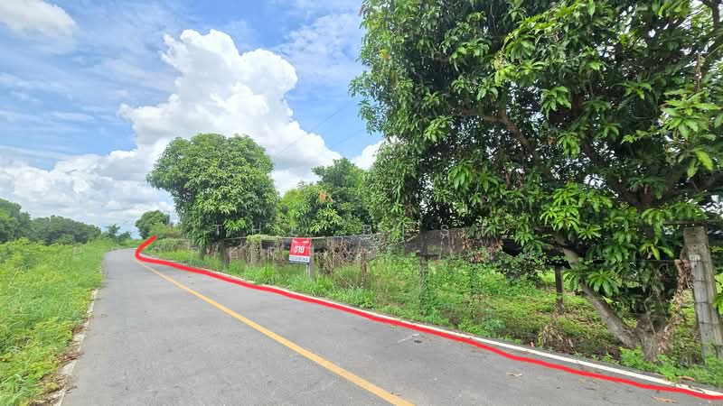 ที่ดินพนัสนิคม ชลบุรี, Chon Buri (Pattaya), Wat Bot, Phanat Nikhom, Chon Buri (Pattaya), , 16,160 sqm, Land For Sale, by The Best Property เหมยหลิง, 500411116 - DDproperty.com